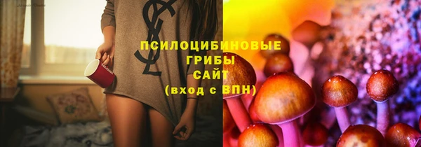 спиды Аркадак