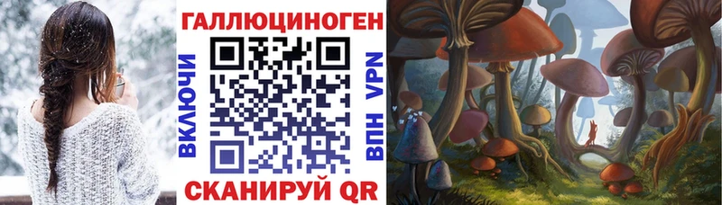 Галлюциногенные грибы ЛСД  Черногорск 