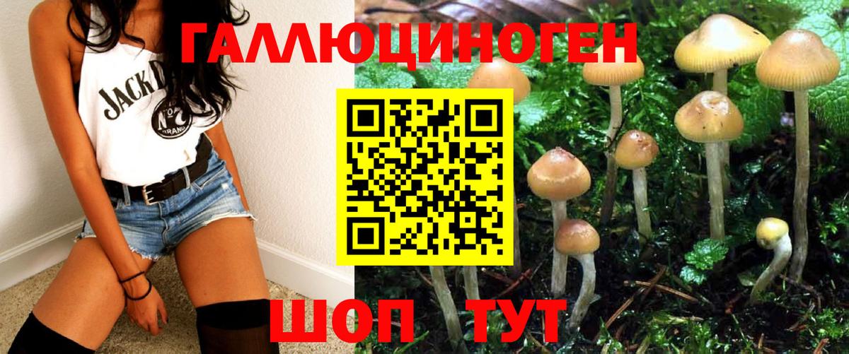 Черногорск  Псилоцибиновые грибы Psilocybe  Галлюциногенные грибы Psilocybe  Вход с VPN 