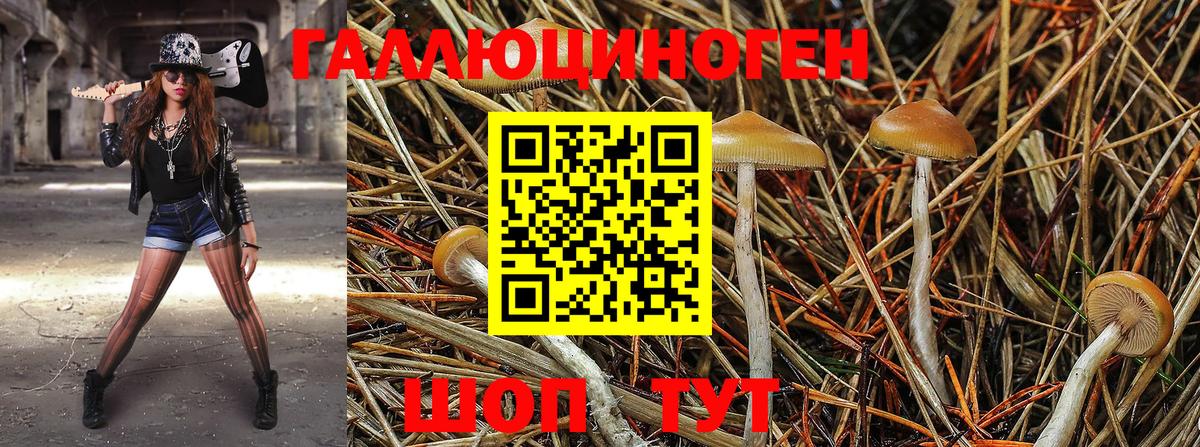 Галлюциногенные грибы прущие грибы Черногорск